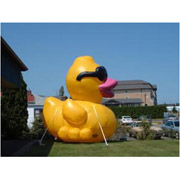 Hot inflatable ducks